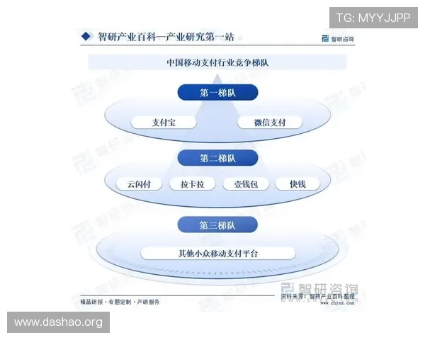 分析MK体育的支付方式多样性,满足不同用户的资金安全与便捷需求 分析MK体育的支付方式多样性,满足不同用户的资金安全与便捷需求