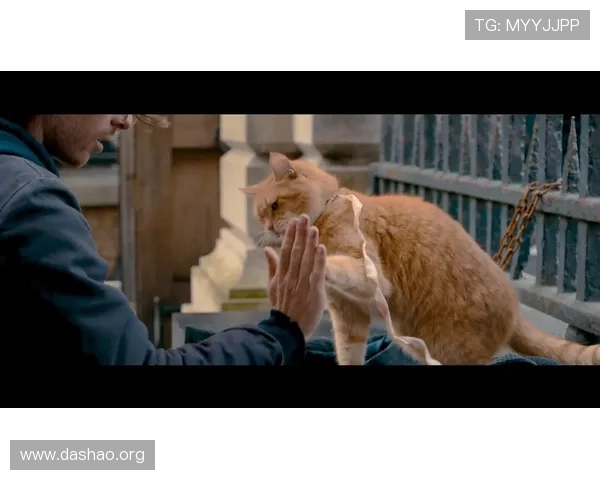 bob官方真人展示视频带你真实体验游戏角色的魅力与细节解析